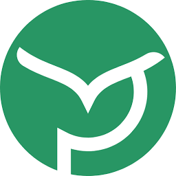 FlexIT Consulting GmbH Logo