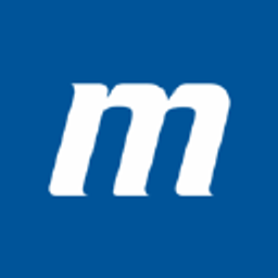 Flink Logo