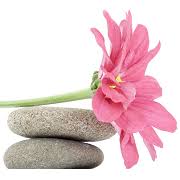 Flora-Kosmetik.de Logo