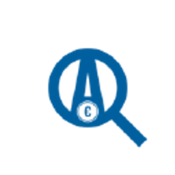 Florian Fritzges Analytic Invest Logo