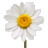 Floridee Logo