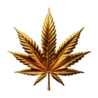 FlowerPowerCBD Logo