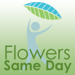 Flowerssameday Logo