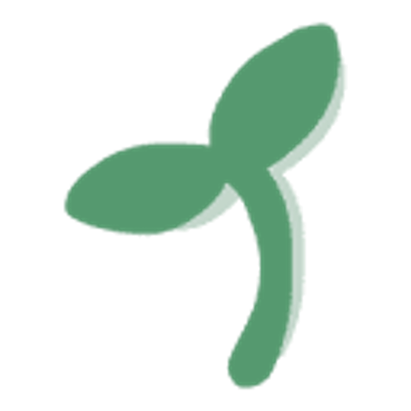 Fluffy Flowers Logo