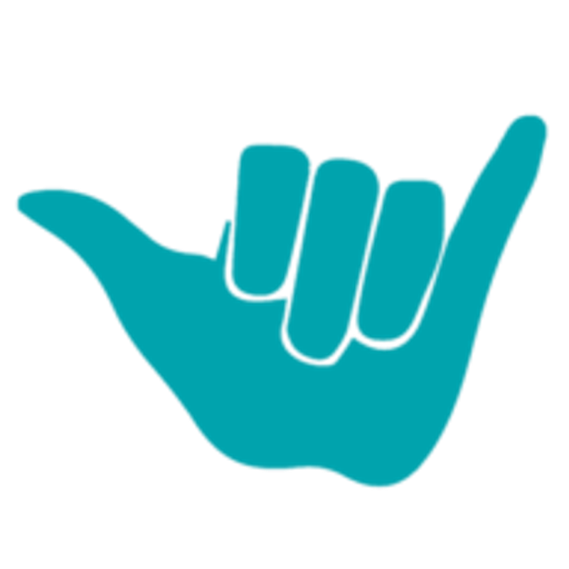 FLY ROYAL Paragliding Logo