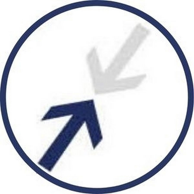 Foresight Logo