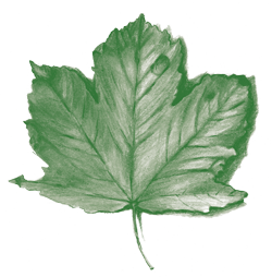 Denecke Lars Forstbetrieb Logo