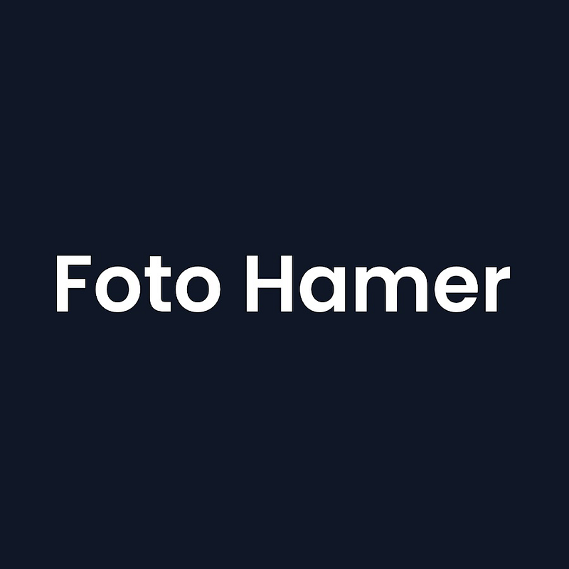 Foto Hamer Logo