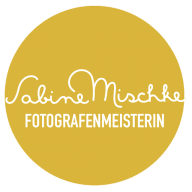 Mischke S. Logo