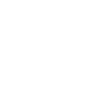 Fpinsoles Logo