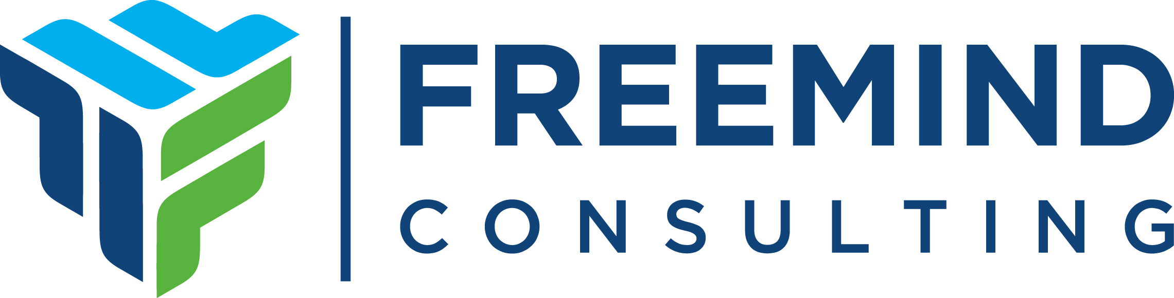 freemind Consulting Logo
