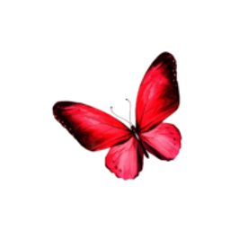 Suzi Diyaboglu Logo