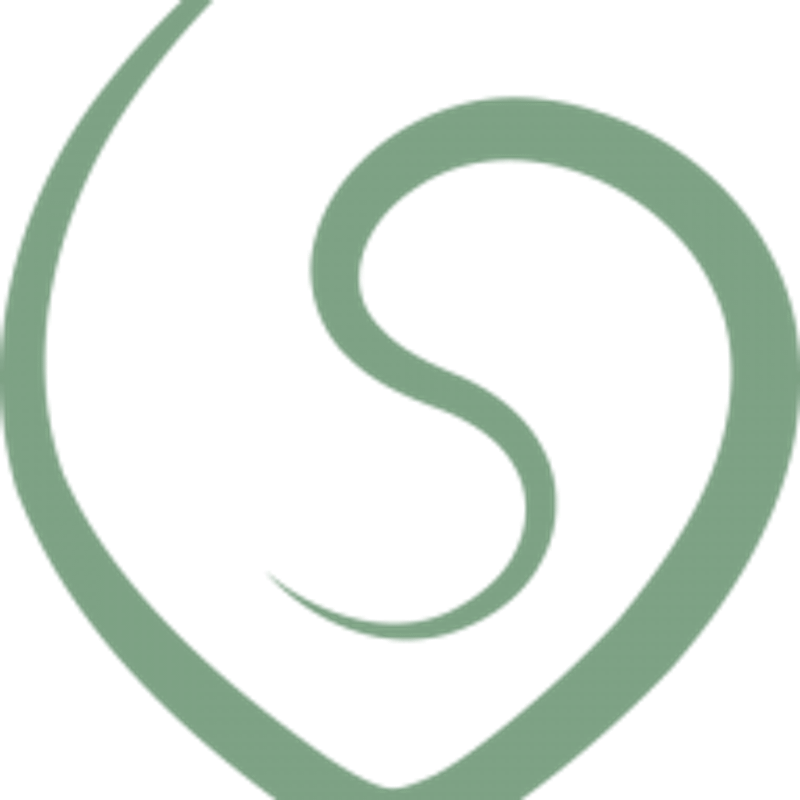 Viola Hoffmann - Gesund digital aufwachsen Logo