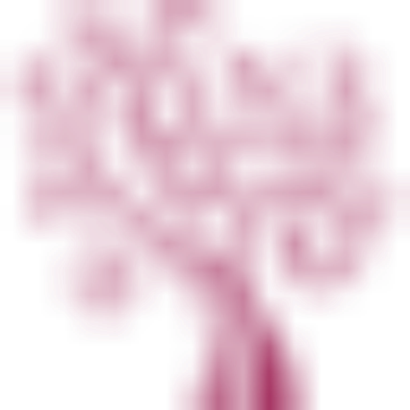 Frigga Seniorenbetreuung Logo