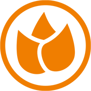 future e.V. Logo