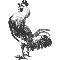 Gallo Logo