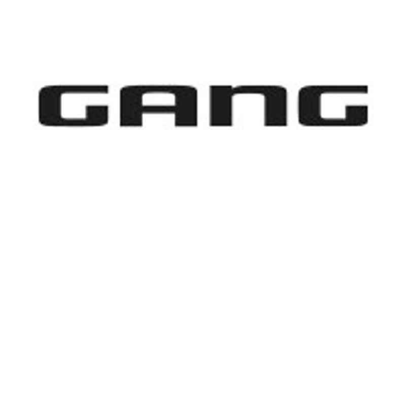 GANG Fashion Logo