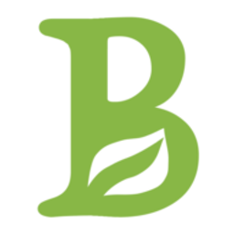 Brückner Logo