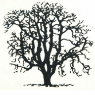 Schumacher Baumschule Gartengestaltung Logo
