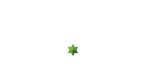 Zum grünen Stern Logo