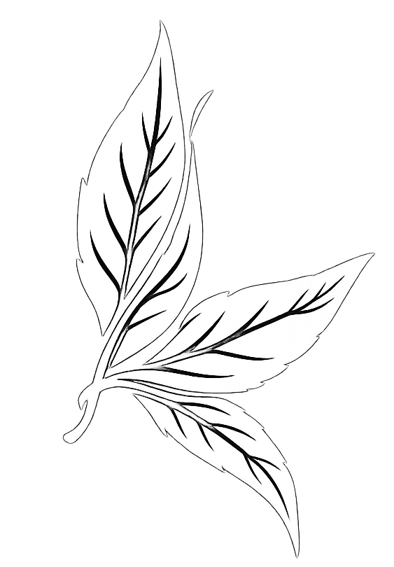 Gedike Begrünungen GmbH & Co. KG Jürgen Logo