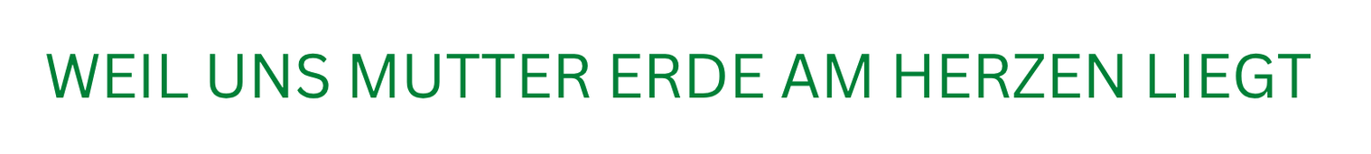 Gemüseladen, Der Logo