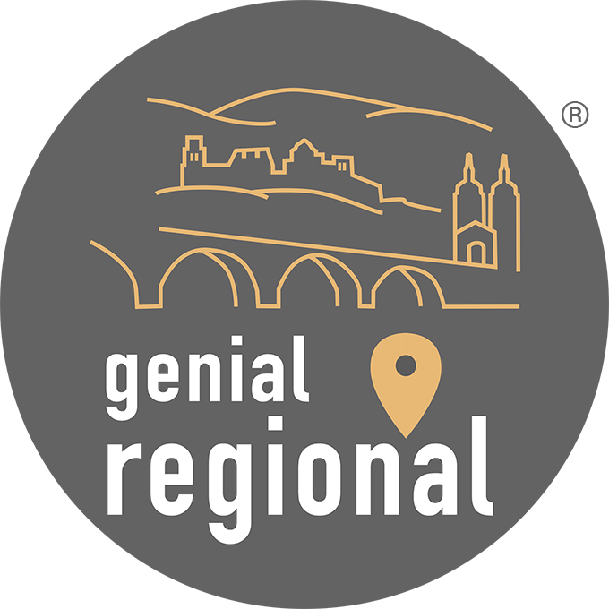 GeReMO Heidelberg Rhein-Neckar GmbH Logo