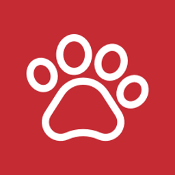 Peselmann Nina Dr. Tierärztin Logo