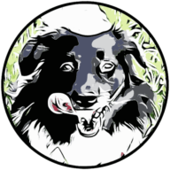 Gesunder Hund. Jetzt! Logo