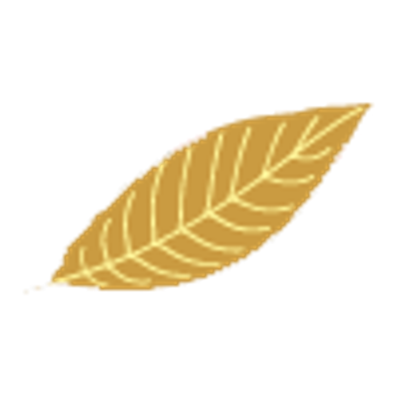 getkapp Handels GmbH Logo