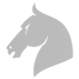 GHS Sicherheit Logo