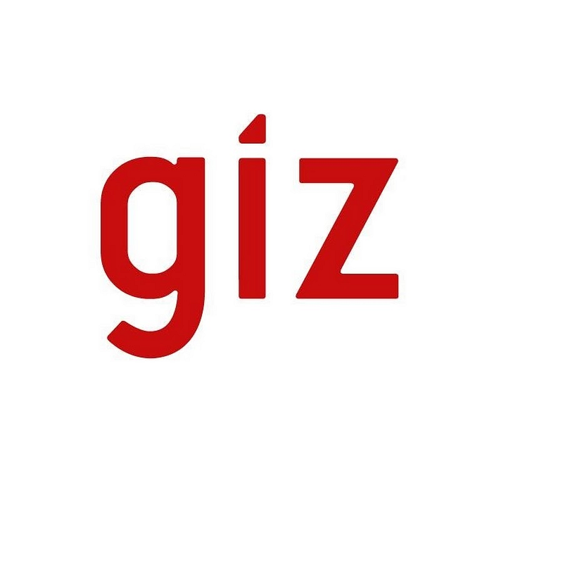 GIZ Logo
