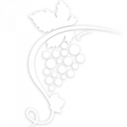 Göbel-Schausten Hans-Theo Weingut Logo