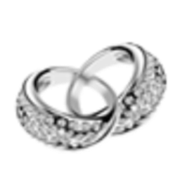 Schmuck-Palast Murat Saskin Logo