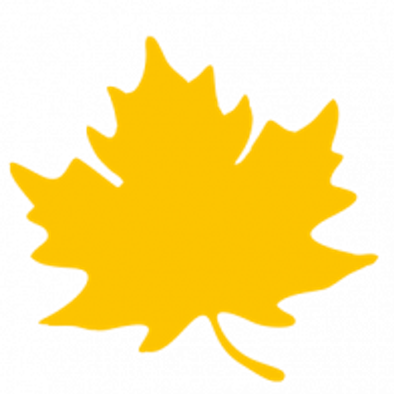SeniorenService Goldener Herbst GmbH & Co. KG Logo