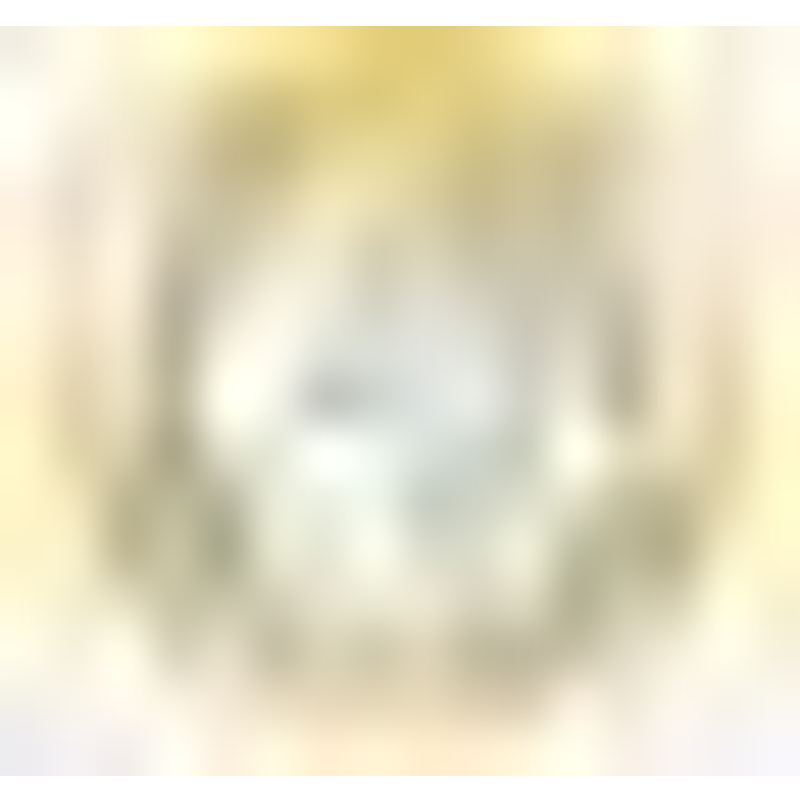 Goldwelt24 Logo
