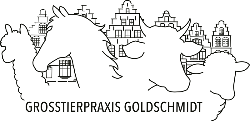Goldschmidt Hauke Dr. prakt. Tierarzt Logo