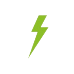 Gruener Blitz Logo