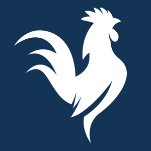 Hahn A. Consulting Logo