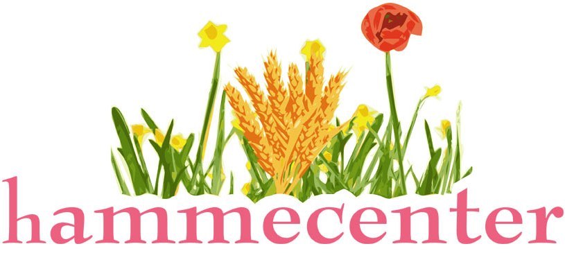 hammecenter - Gerald Lehmann Logo