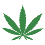 hanfhouse. Logo