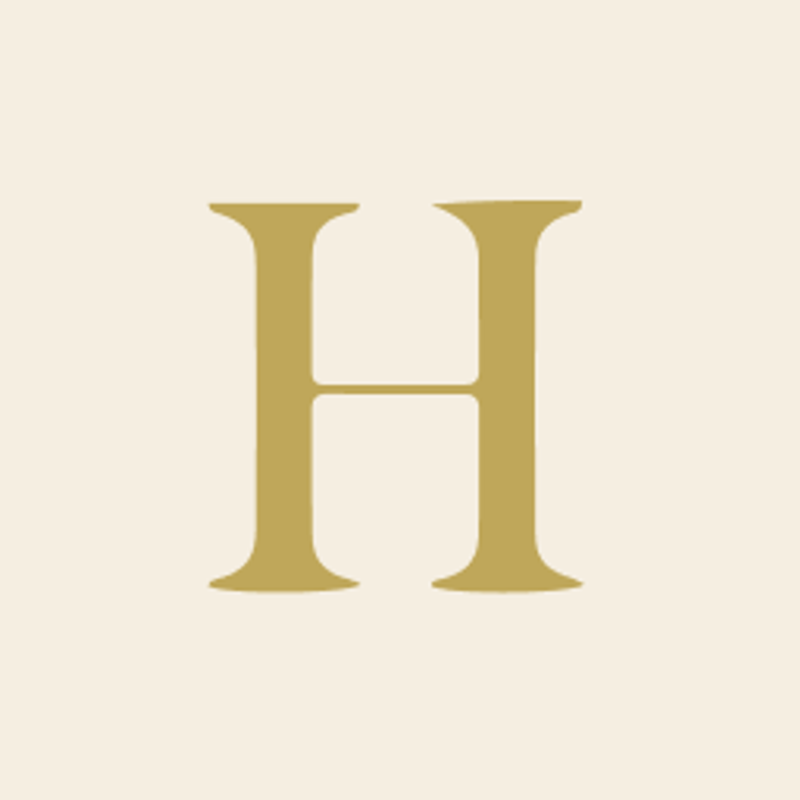 Hannahmedic Consulting Logo