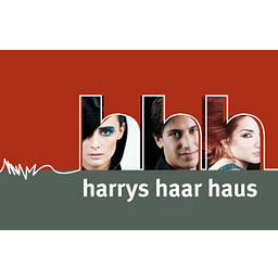 Fried Harry Friseur Logo