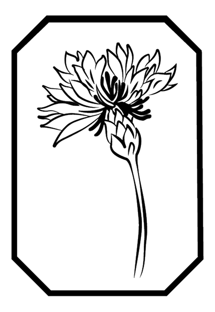 Hotel Hartmann Logo
