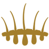 Hasci Italia S.R.L. Logo