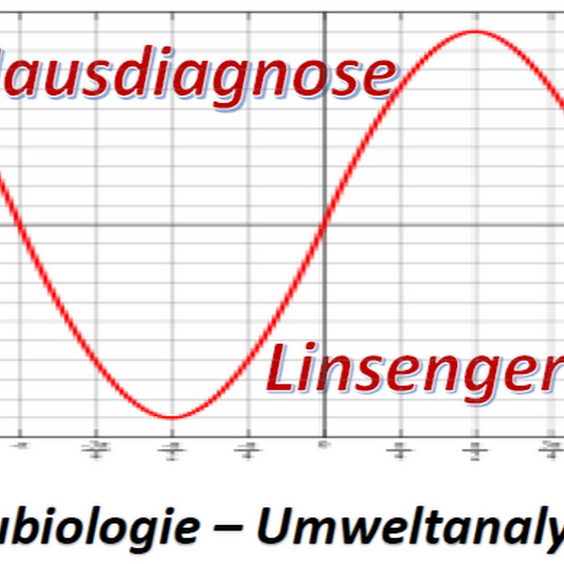 Hausdiagnose Linsengericht Logo