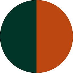 hausschuhe-pantoffel.de Logo