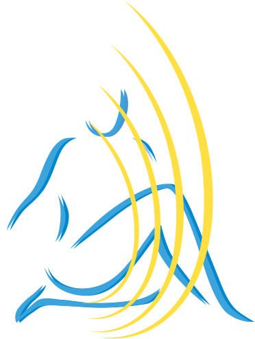 Paufler Patrik Dr. Logo