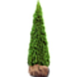 heckenpflanzen-mencel.de Logo