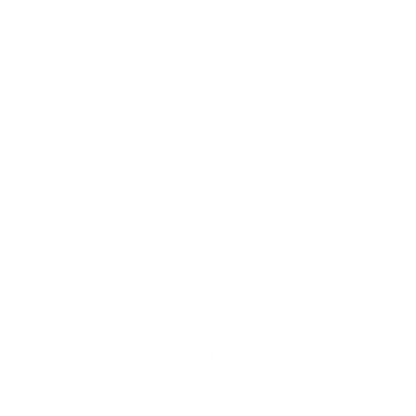 Heilberg IT Solutions UG Logo